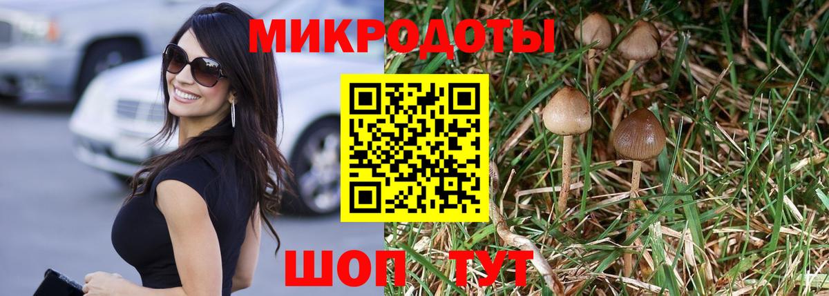Галлюциногенные грибы Psilocybine cubensis  Вход с VPN  Псилоцибиновые грибы MAGIC MUSHROOMS  что такое наркотик  Нурлат 